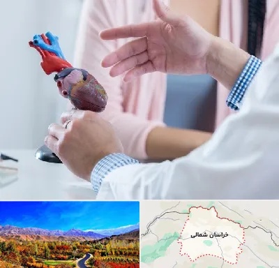 بیمارستان قلب در خراسان شمالی