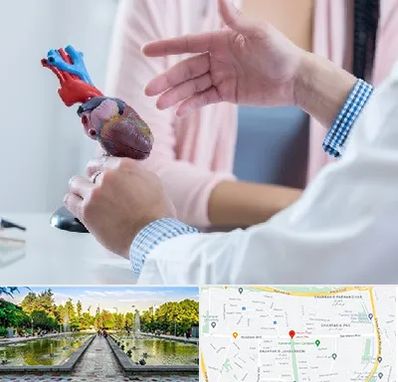 بیمارستان قلب در سرسبز