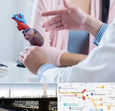 بیمارستان قلب در پارک وی 