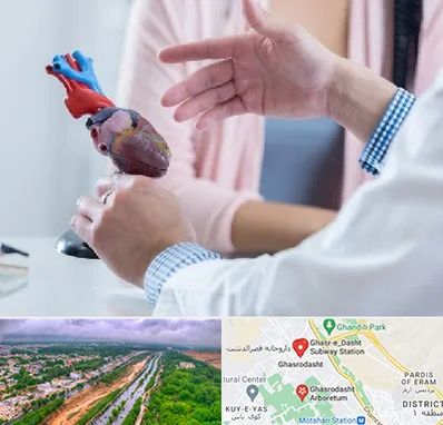 بیمارستان قلب در قصرالدشت شیراز