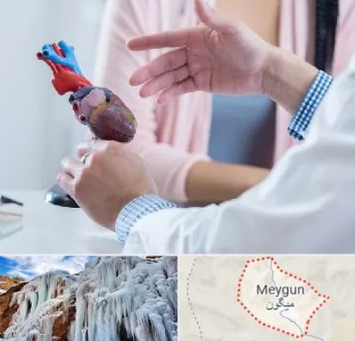 بیمارستان قلب در میگون