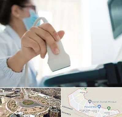 اکوی قلب در پرند