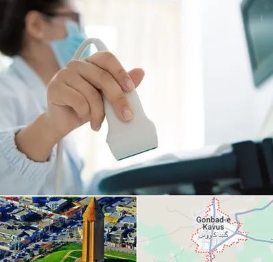 اکوی قلب در گنبد کاووس