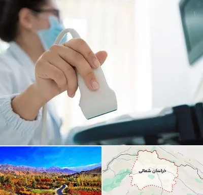 اکوی قلب در خراسان شمالی