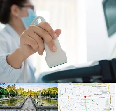 اکوی قلب در سرسبز