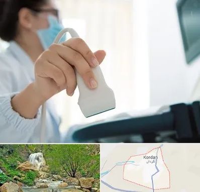 اکوی قلب در کردان