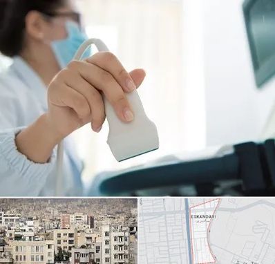 اکوی قلب در اسکندری