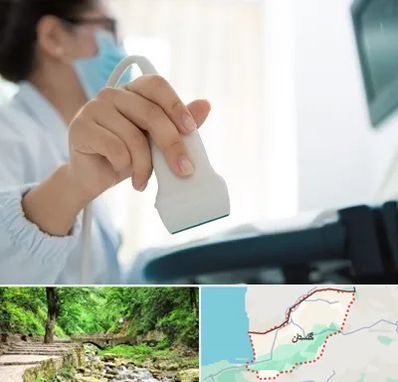 اکوی قلب در گلستان