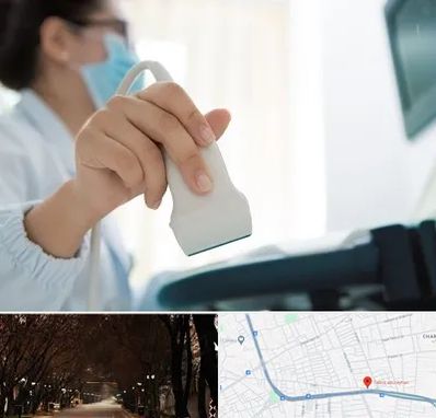 اکوی قلب در ابوریحان تبریز