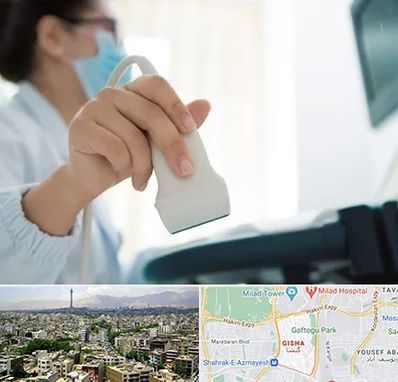 اکوی قلب در گیشا 