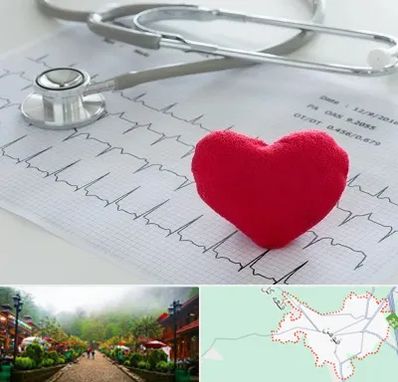 مرکز قلب و عروق در فومن