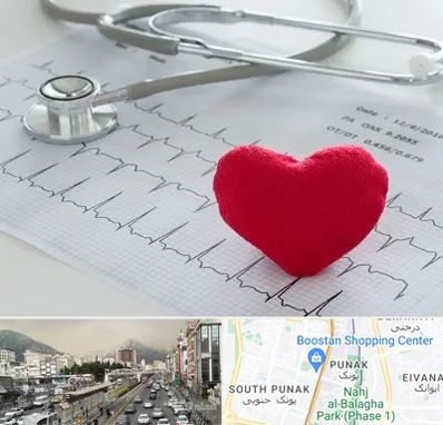 مرکز قلب و عروق در پونک 