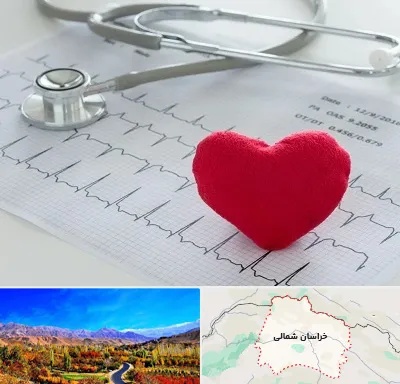 مرکز قلب و عروق در خراسان شمالی