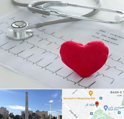 مرکز قلب و عروق در فلکه گاز شیراز