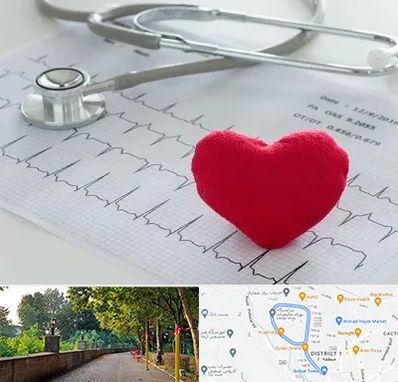 مرکز قلب و عروق در فلکه گاز رشت