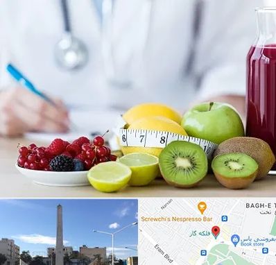 دکتر متخصص تغذیه در فلکه گاز شیراز