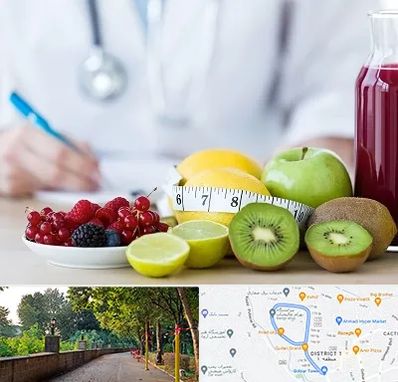 دکتر متخصص تغذیه در بلوار گیلان رشت