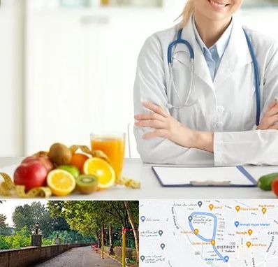 متخصص رژیم لاغری در بلوار گیلان رشت
