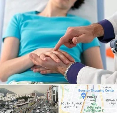 فوق تخصص روماتولوژی در پونک 