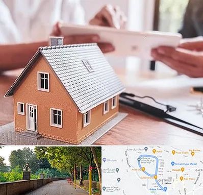 وکیل ملکی در بلوار گیلان رشت