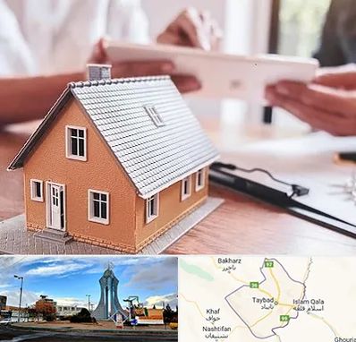 وکیل ملکی در تایباد