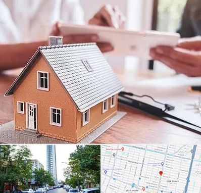 وکیل ملکی در امامت مشهد