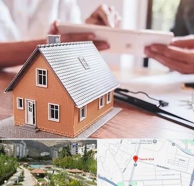 وکیل ملکی در بلوار تعاون