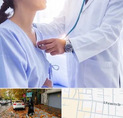 فوق تخصص قلب در خیابان فلسطین