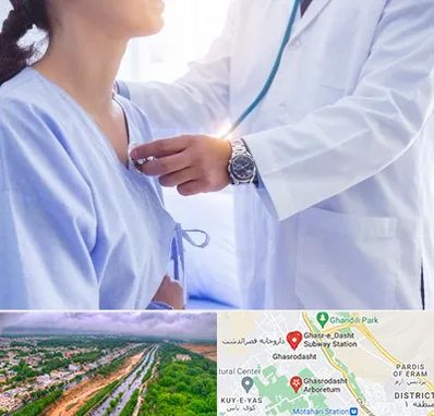 فوق تخصص قلب در قصرالدشت شیراز