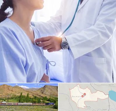 فوق تخصص قلب در خاش