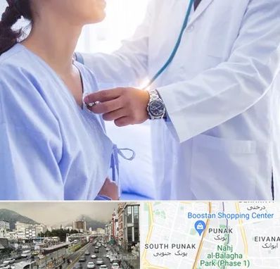 فوق تخصص قلب در پونک 