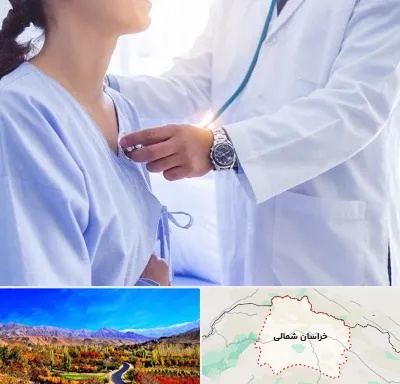 فوق تخصص قلب در خراسان شمالی