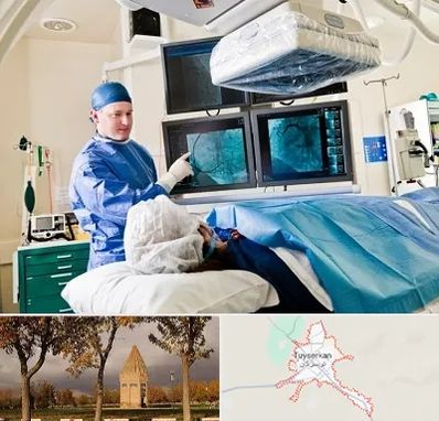 جراح قلب و عروق در تویسرکان