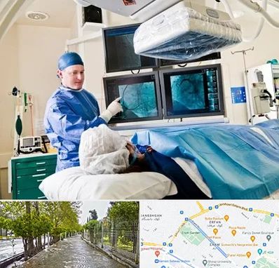 جراح قلب و عروق در خیابان ارم شیراز