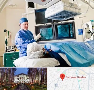 جراح قلب و عروق در باغ فردوس