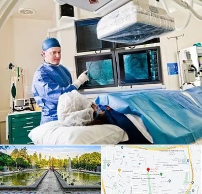 جراح قلب و عروق در سرسبز 