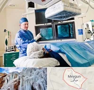 جراح قلب و عروق در میگون