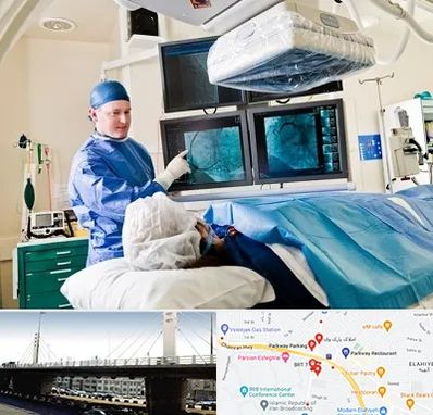 جراح قلب و عروق در پارک وی 