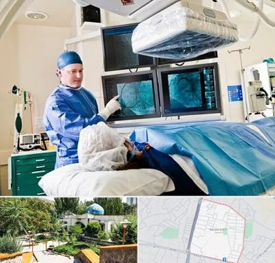 جراح قلب و عروق در باغمیشه تبریز