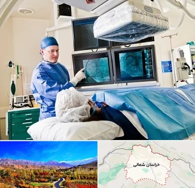 جراح قلب و عروق در خراسان شمالی