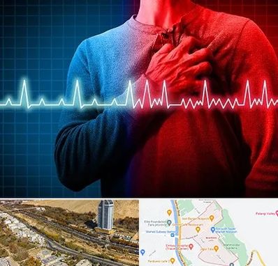 نوار قلب در خیابان نیایش شیراز