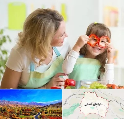 متخصص تغذیه کودکان در خراسان شمالی