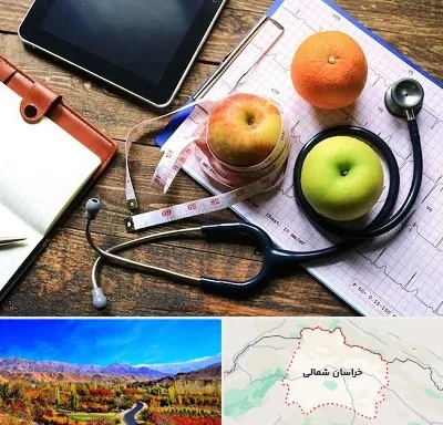 کلینیک تغذیه در خراسان شمالی