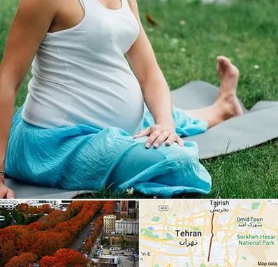 کلاس یوگا بارداری در ولیعصر