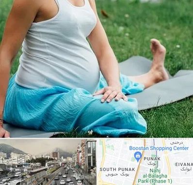 کلاس یوگا بارداری در پونک
