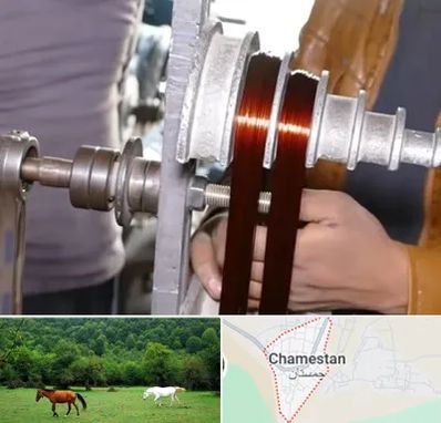 سیم پیچی در چمستان