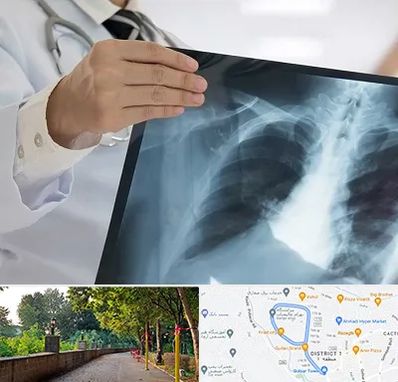 فوق تخصص ریه در بلوار گیلان رشت