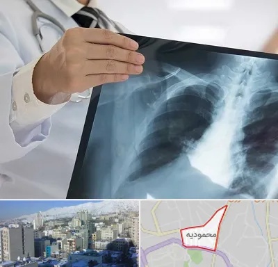 فوق تخصص ریه در محمودیه