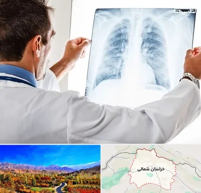 دکتر متخصص ریه در خراسان شمالی