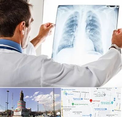 دکتر متخصص ریه در کارگر جنوبی 
